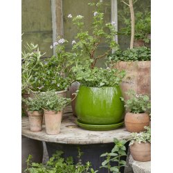 SANNE, glaseret krukke 17 cm