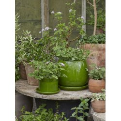 SANNE, glaseret krukke 17 cm