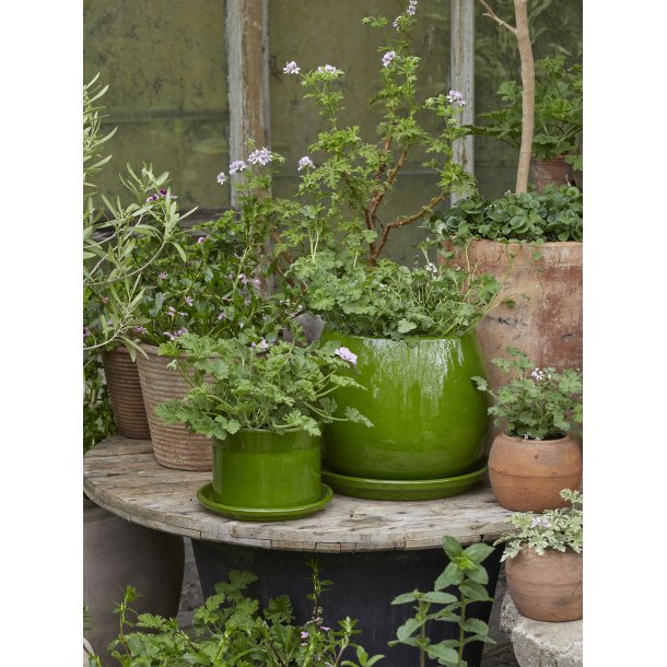 SANNE, glaseret krukke 17 cm