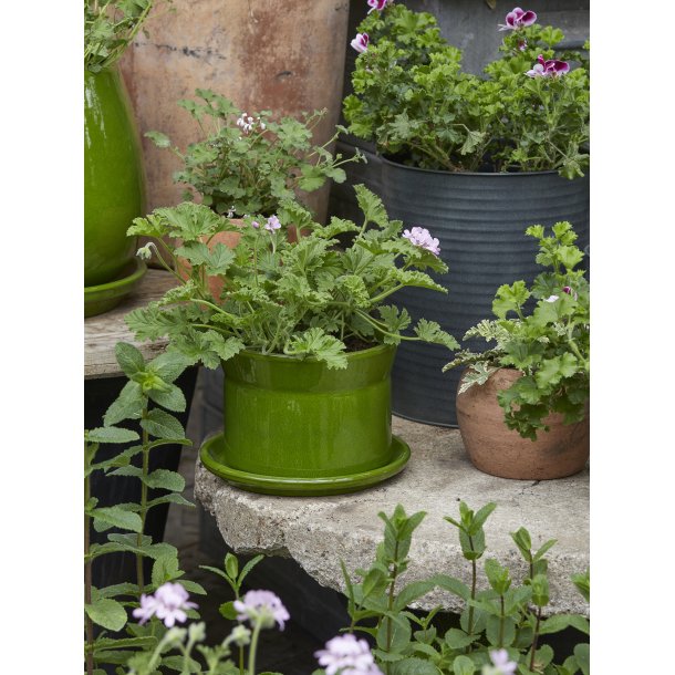 SASHA, glaseret krukke 14 cm